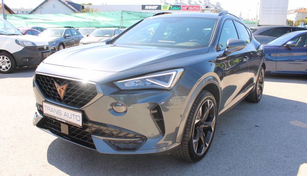 Cupra Formentor 2.0 TSi VZ DSG *LED, KAMERA*
